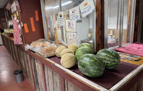 Colorful display of fresh produce at vineyard sale with vineyard view