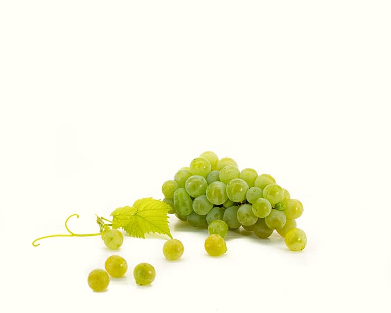 brianna-grape-vine