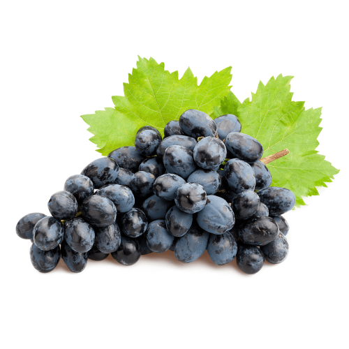Close-up of Concord grapes, an heirloom varietal prized for its bold flavor and deep purple color.