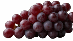 Marquette Grapes